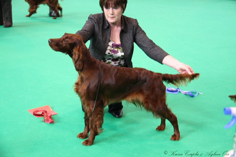 Crufts2011 154.jpg